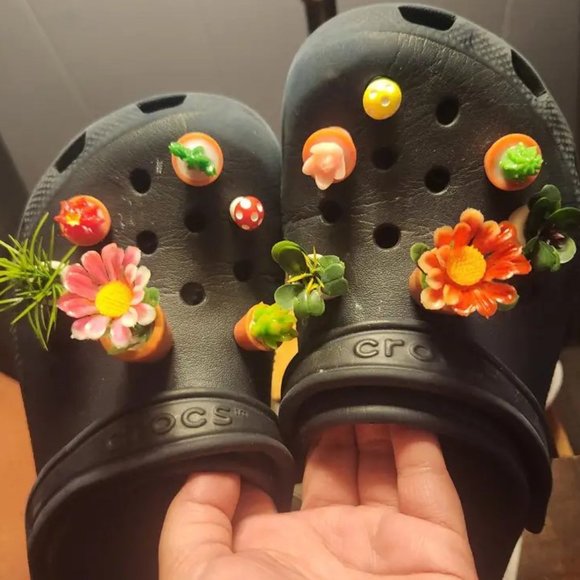 Succulent shoe charm garden houseplants mushroom cactus violet - Picture 9 of 12